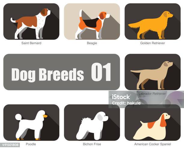 Breeds Of Dog Standing Side Vector Stock Illustration - Download Image Now - Golden Retriever, Dog, Profile View