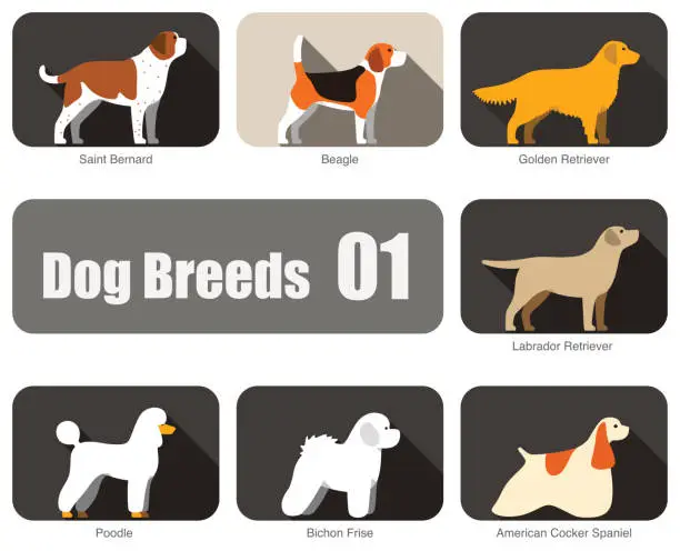 Vector illustration of Breeds of dog standing side, vector