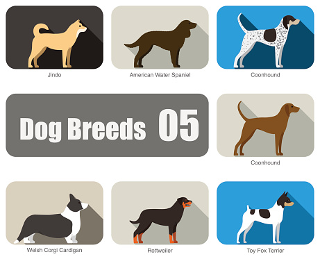 Dog breeds,  standing on the ground, side,colors, vector illustration, dog cartoon image series