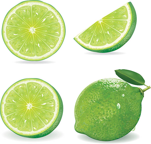 ilustraciones, imágenes clip art, dibujos animados e iconos de stock de colección de fresca de lima y porción, aislado en blanco background.vector - limones verdes