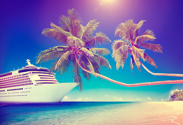 istock Cruise Ship Beach Sea Palm Tree Concept 491511882
