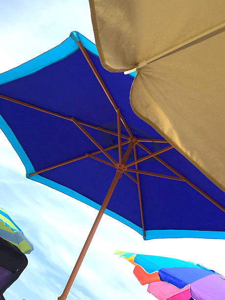 istock Umbrellas in The Breeze 491511916