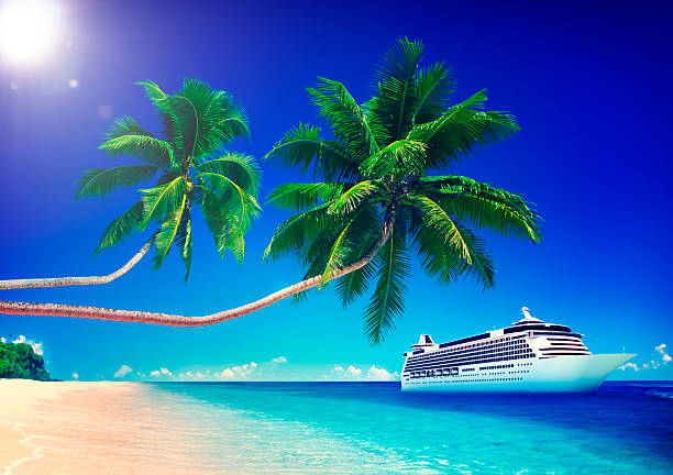 istock Tropical Paradise Beach Cruise Ocean Concept 491512240