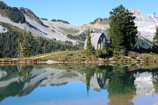 istock Mountain and forest reflections in a clear lake 491513928