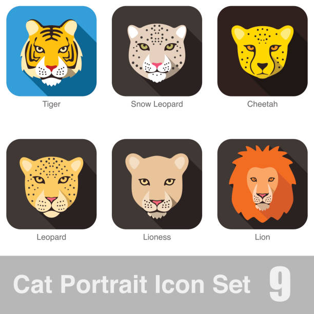 ilustrações, clipart, desenhos animados e ícones de rosto de gato de raça indefinida dos ícone da série de tv - tiger lion leopard cartoon