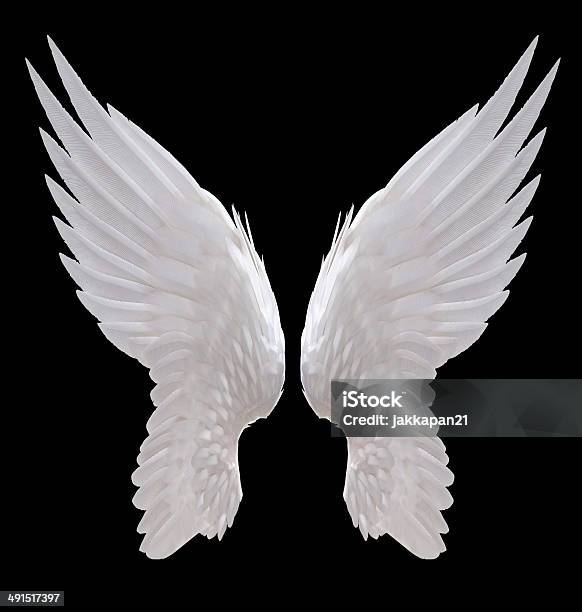 Angel Wing Stock Photo - Download Image Now - Angel, Animal Wing, Cut Out