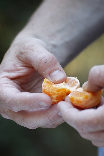 istock Food: Camping - man peeling tangerine 491517910