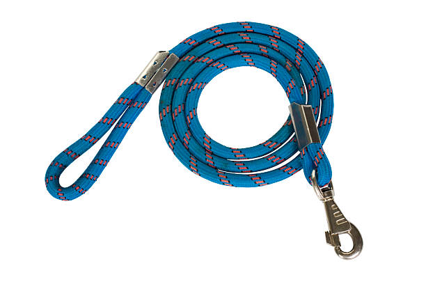 Close-up of a dog leash stock photo