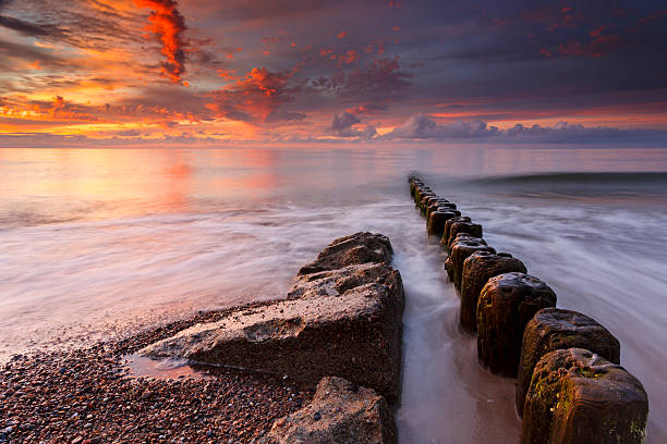 istock Tranquil Coastal Sunset on the Baltic sea beach 491519721