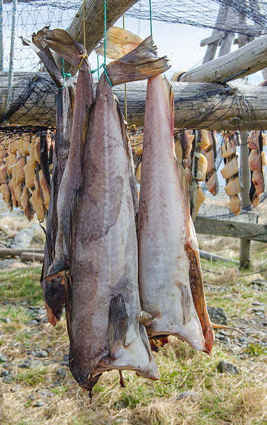 Smoked fish in a smokehouse in Iceland stock photo