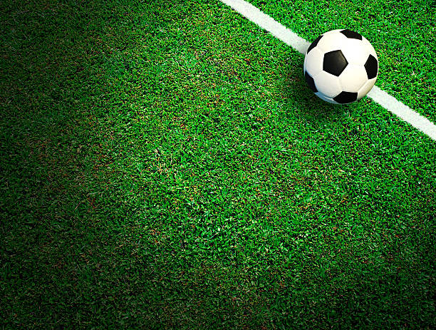 istock Soccer football field at stadium 491522867