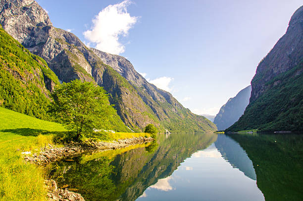 nærøyfjord в норвегии - aurland стоковые фото и изображения