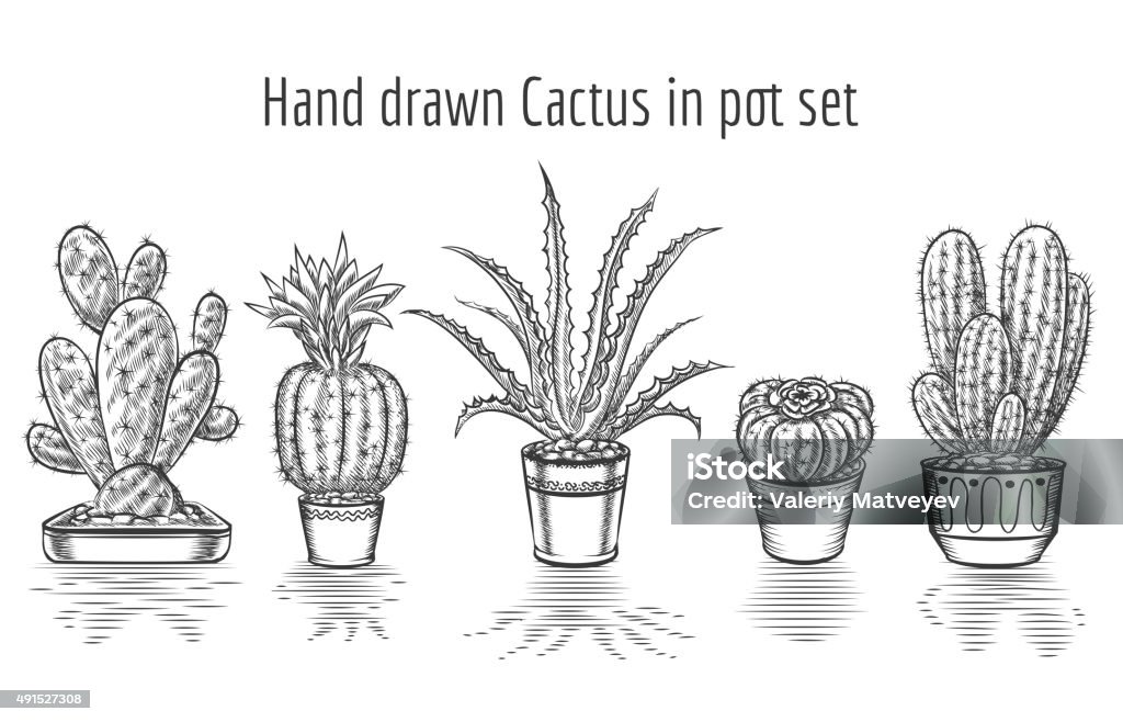 Beauty cacti. Hand drawn cactus in pot set Beauty cacti. Hand drawn cactus in pot set. Plant art graphic, element floral houseplant. Vector illustration 2015 stock vector