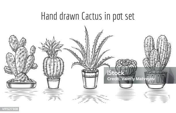 Beauty Cacti Hand Drawn Cactus In Pot Set Stock Illustration - Download Image Now - 2015, Arts Culture and Entertainment, Beauty