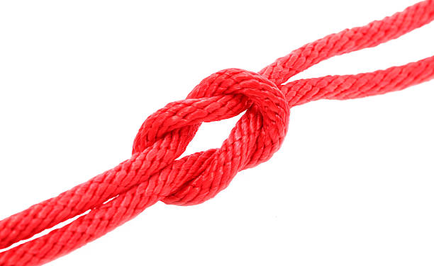 istock Red Rope in A Knot Isolated on White Background. 491527586