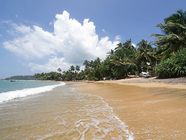 istock Side view of Mirissa beach in Sri Lanka 491528474