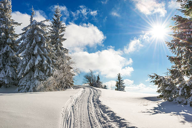 istock Winter road in the mountains 491541988