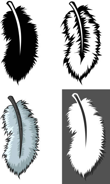 ilustrações de stock, clip art, desenhos animados e ícones de conjunto de conceito de diferentes tipos com penas - peacock feather outline black and white