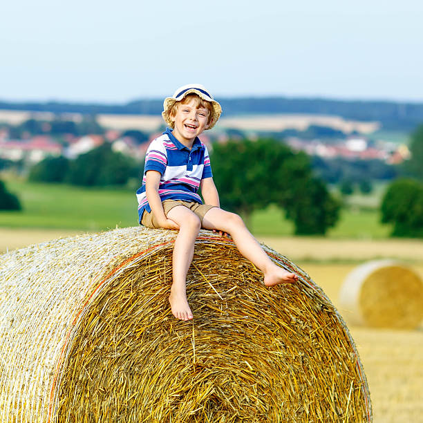istock Little kid boy sitting on hay bale in summer 491557092