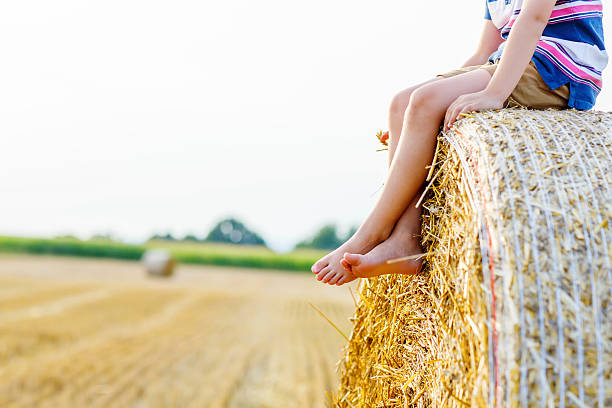 istock Little kid boy sitting on hay bale in summer 491557142