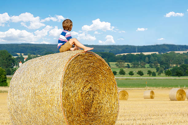 istock Little kid boy sitting on hay bale in summer 491557520