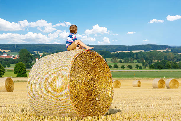 istock Little kid boy sitting on hay bale in summer 491557662