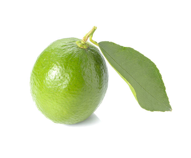 istock Green lemon,leaves on white background. 491561762
