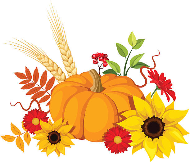 Autumn pumpkin and flowers. Vector illustration. Vector illustration of a pumpkin, sunflowers, gerbera flowers and autumn leaves isolated on a white background. gourd stock illustrations
