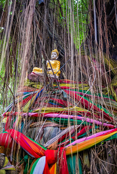 istock Buddha statue on banyan tree with colorful ropes 491577186