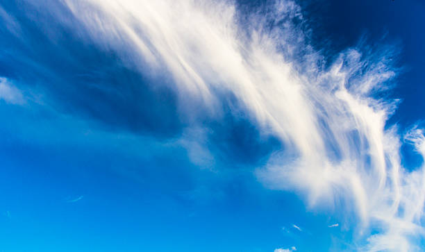 istock Fluffy cirrus cloud in the blue sky 491578844