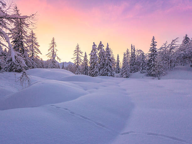 istock Beautiful winter landscape with snow covered trees 491580862