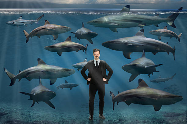 istock Businessman Surrounded By Sharks 491581650