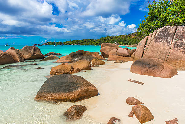 istock Tropical beach in Seychelles on island Praslin - Anse Lazio 491600826