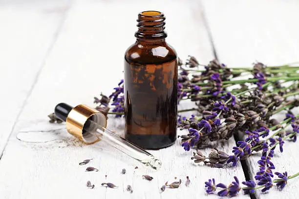 Photo of Dry lavender and oil  on a white wooden table