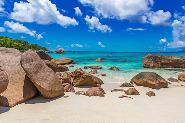 istock Tropical beach in Seychelles on island Praslin - Anse Lazio 491602774