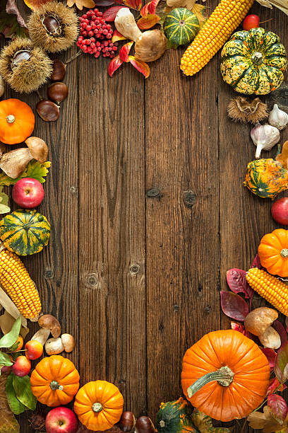 Thanksgiving background Harvest or Thanksgiving background with autumnal fruits and gourds on a rustic wooden table gourd photos stock pictures, royalty-free photos & images