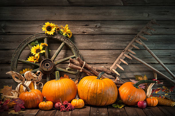 istock Thanksgiving autumnal still life with pumpkins 491604282