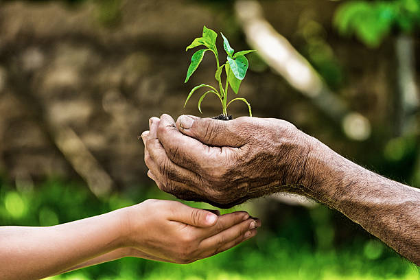 istock life in your hands - garden 491604286