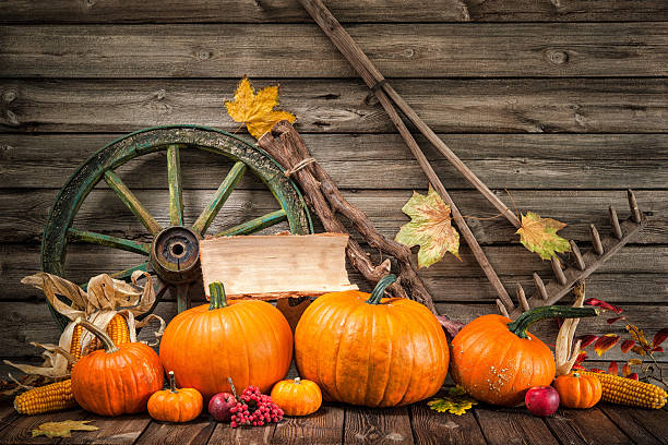 istock Thanksgiving autumnal still life with pumpkins 491604320
