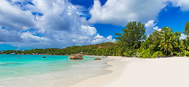 istock Tropical beach in Seychelles on island Praslin - Anse Lazio 491606106