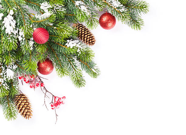 istock Christmas tree branch with snow and baubles 491606216