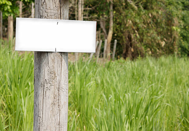 istock white blank signboard  in the meadow. 491607479