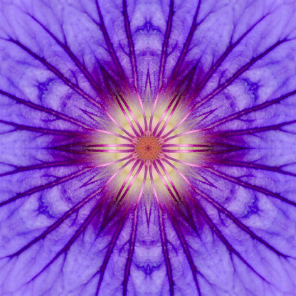 Purple Concentric Flower Center Close-up. Mandala Kaleidoscopic design