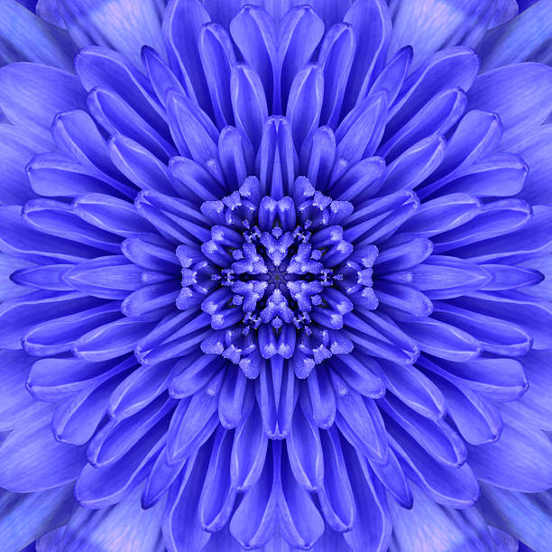 istock Blue Concentric Flower Center Mandala Kaleidoscopic design 491612587