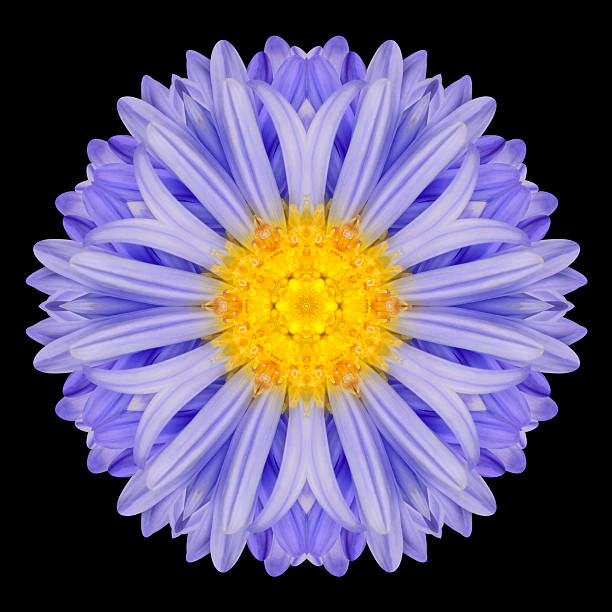 istock Blue Mandala Flower Kaleidoscope Isolated on Black 491612589