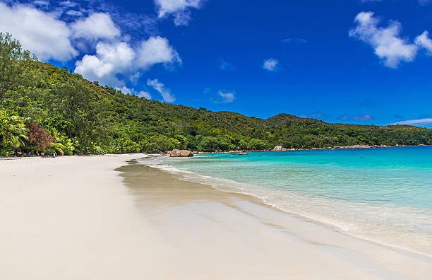 istock Tropical beach in Seychelles on island Praslin - Anse Lazio 491614982