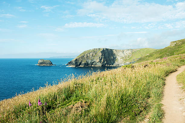istock Headland at Tintagel, Cornwall in England 491615246