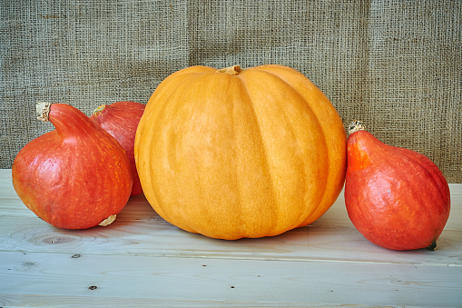 Autumn red and orange pumpkins on a wooden background in a rustic style. Beautiful autumn Pumpkins Halloween background.