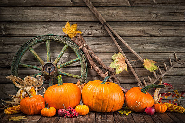 istock Thanksgiving autumnal still life with pumpkins 491617210
