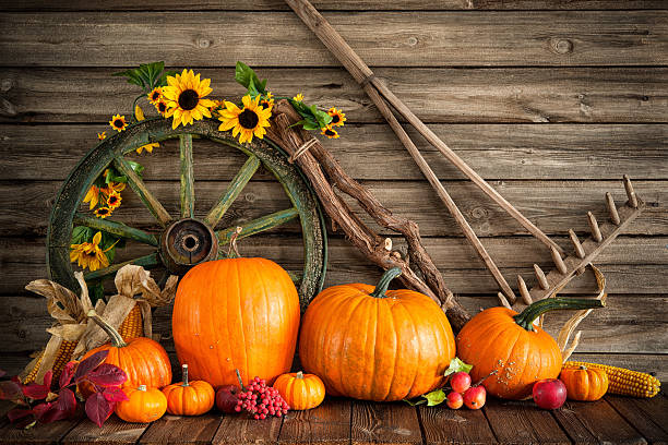 istock Thanksgiving autumnal still life with pumpkins 491617238